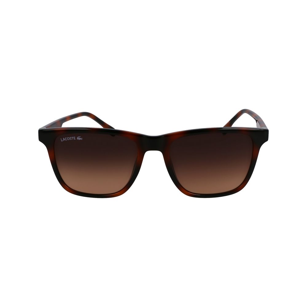 Lacoste brune sprøytestøpte solbriller