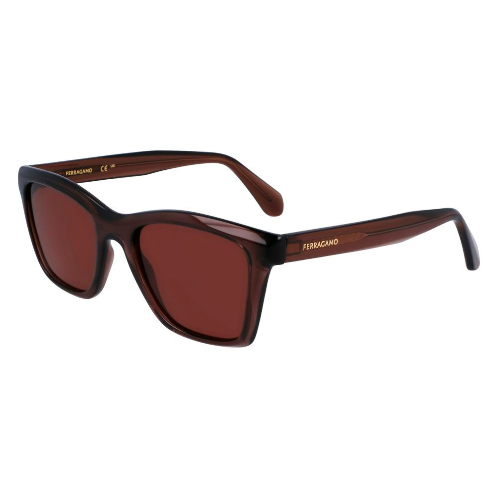 Gafas de sol inyectadas Ferragamo marrones