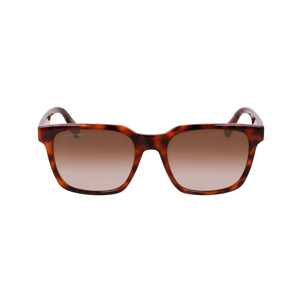 Lacoste brune injiserte solbriller
