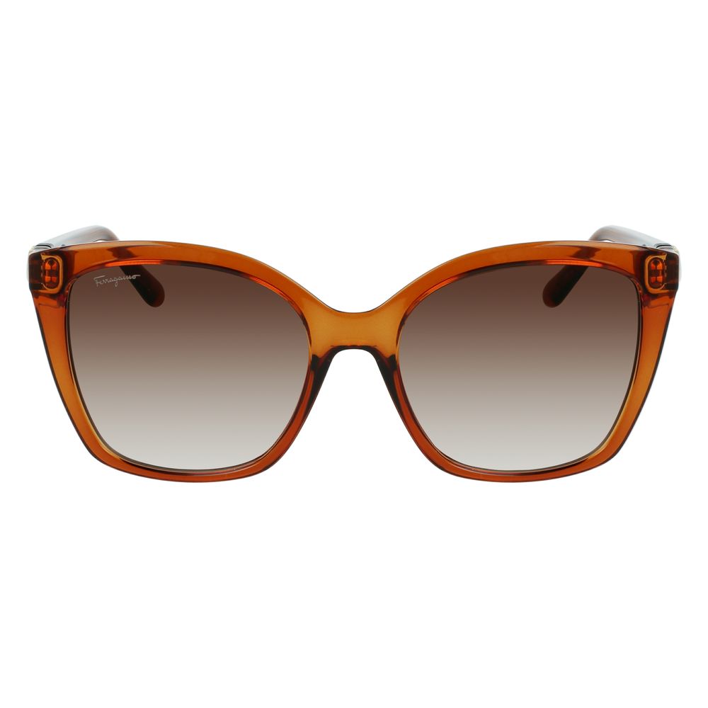 Gafas de sol inyectadas Ferragamo marrones
