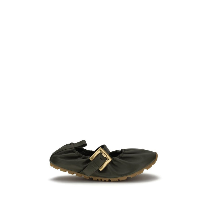 Balmain Bicolor Lamb Ovis Aries Aries Ballerinasko