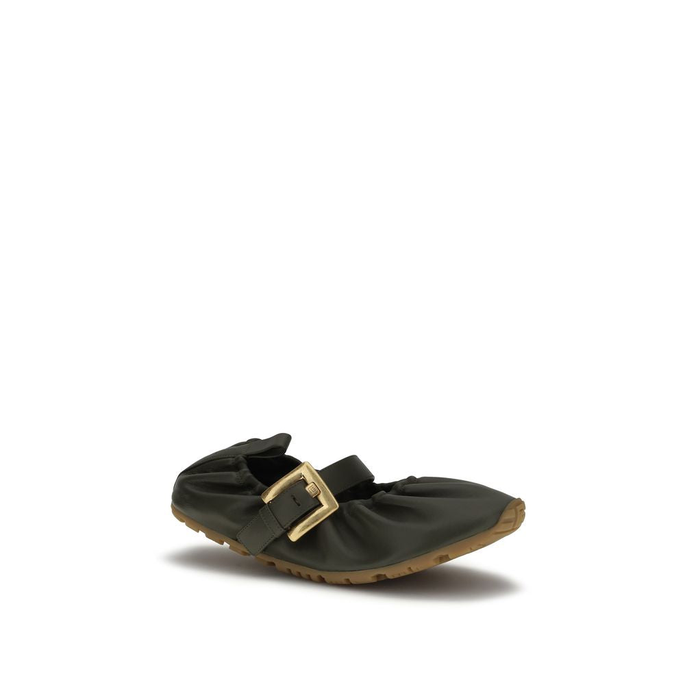 Balmain Bicolor Lamb Ovis Aries Aries Ballerinasko