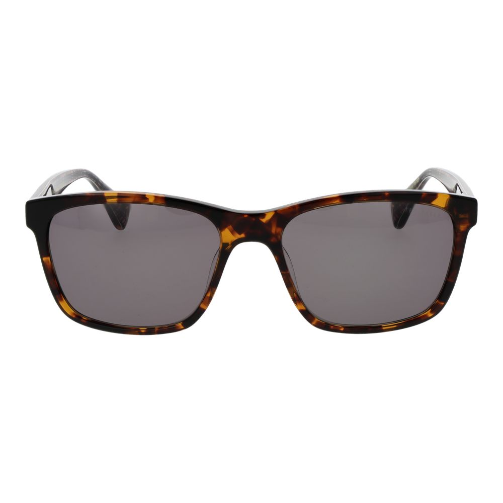 Ted Baker Brune Acetatsolbriller