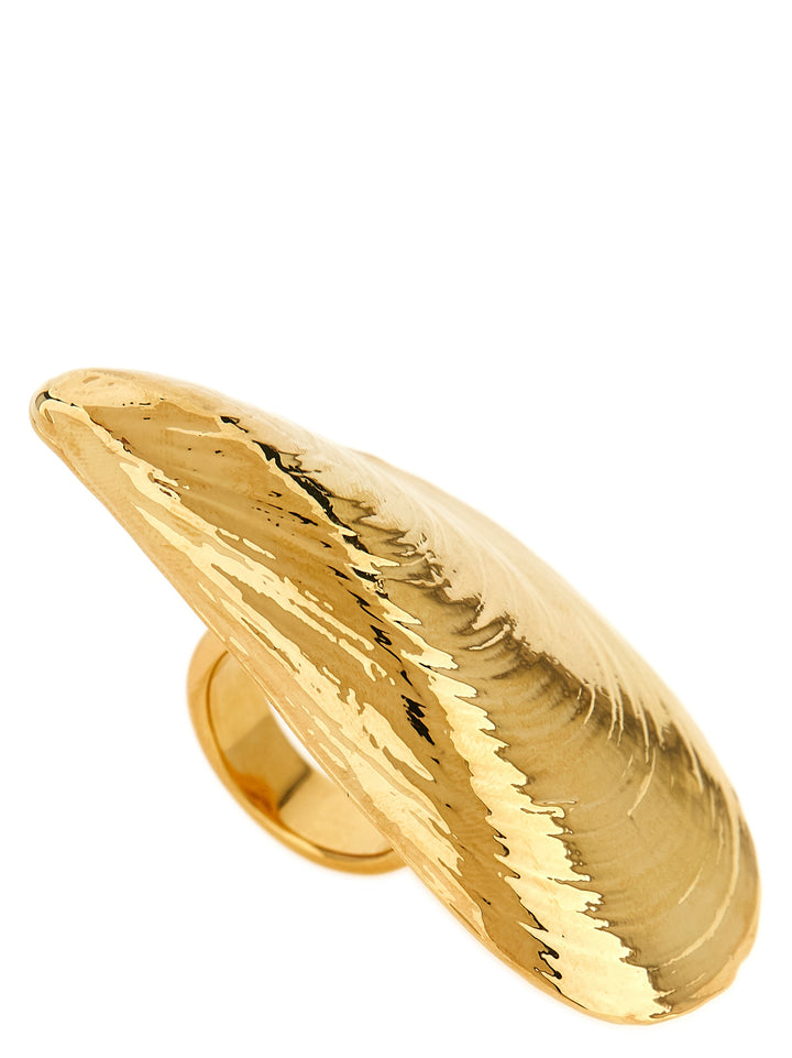 Armarium gull metallring