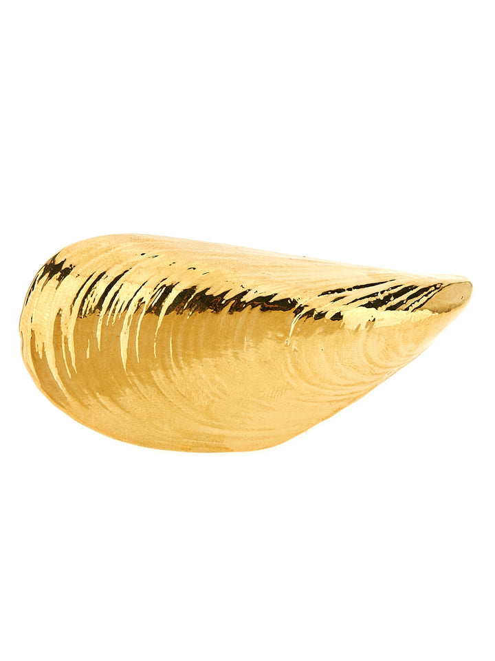 Armarium gull metallring