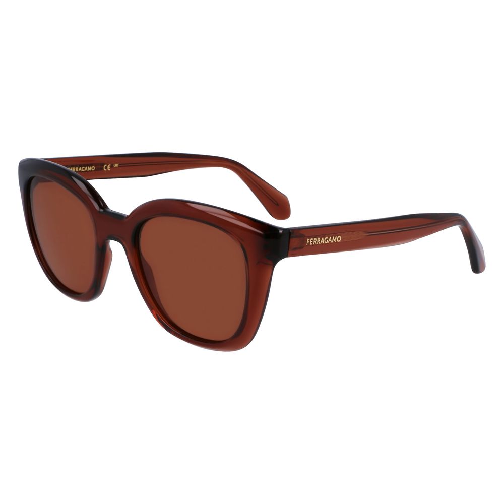 Gafas de sol inyectadas Ferragamo marrones
